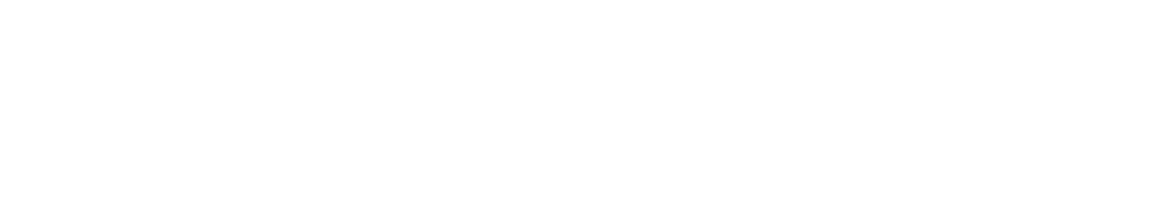 الكاتب السيد رضا علوي